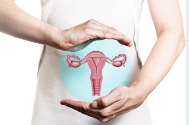 L'observation du cycle menstruel : Pourquoi et comment