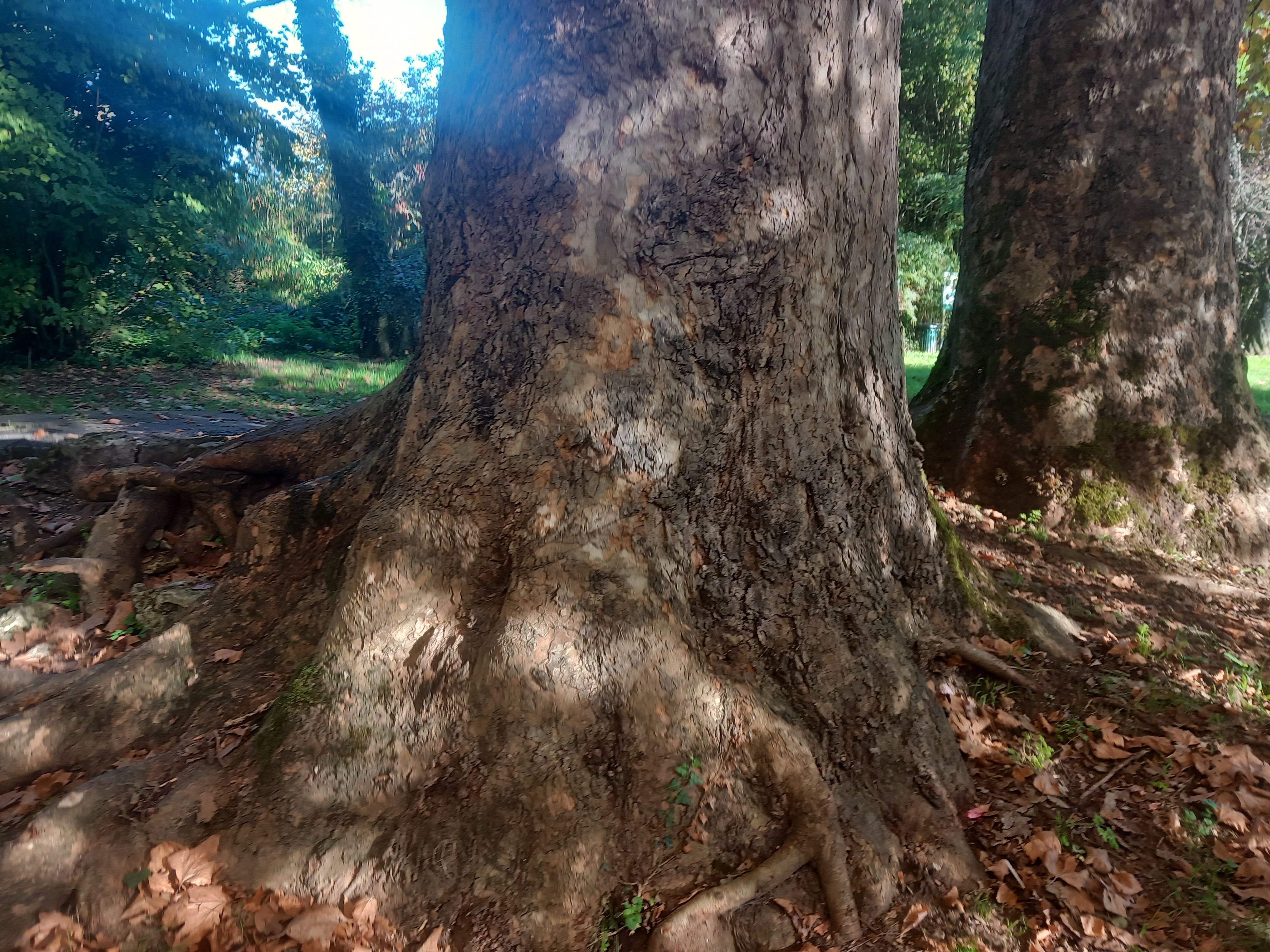 La Non Rentrée de C 'est ici