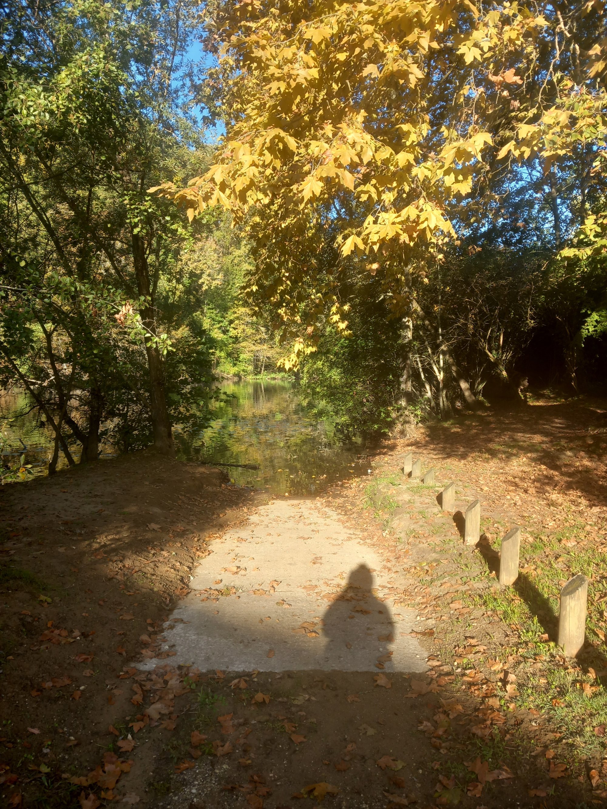 Audios codes vibratoires de guérison Toussaint 2025