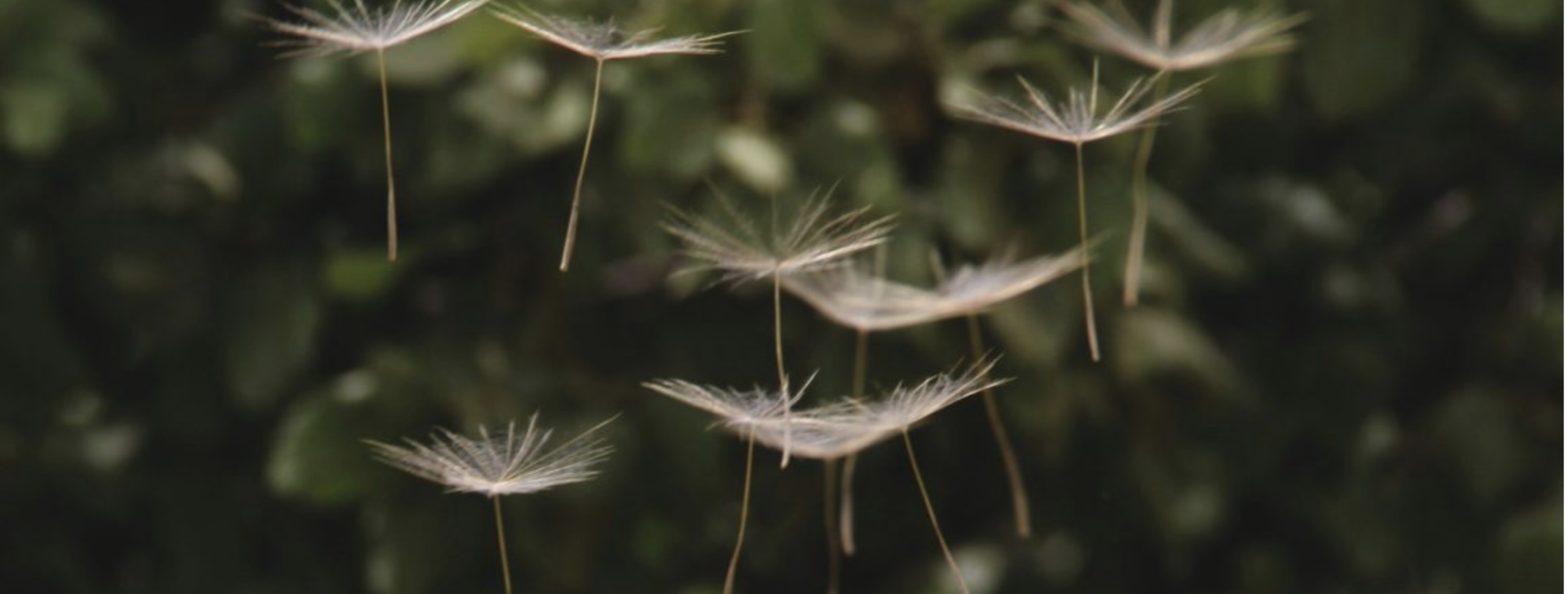 La science des intentions : Quand l’invisible transforme notre quotidien