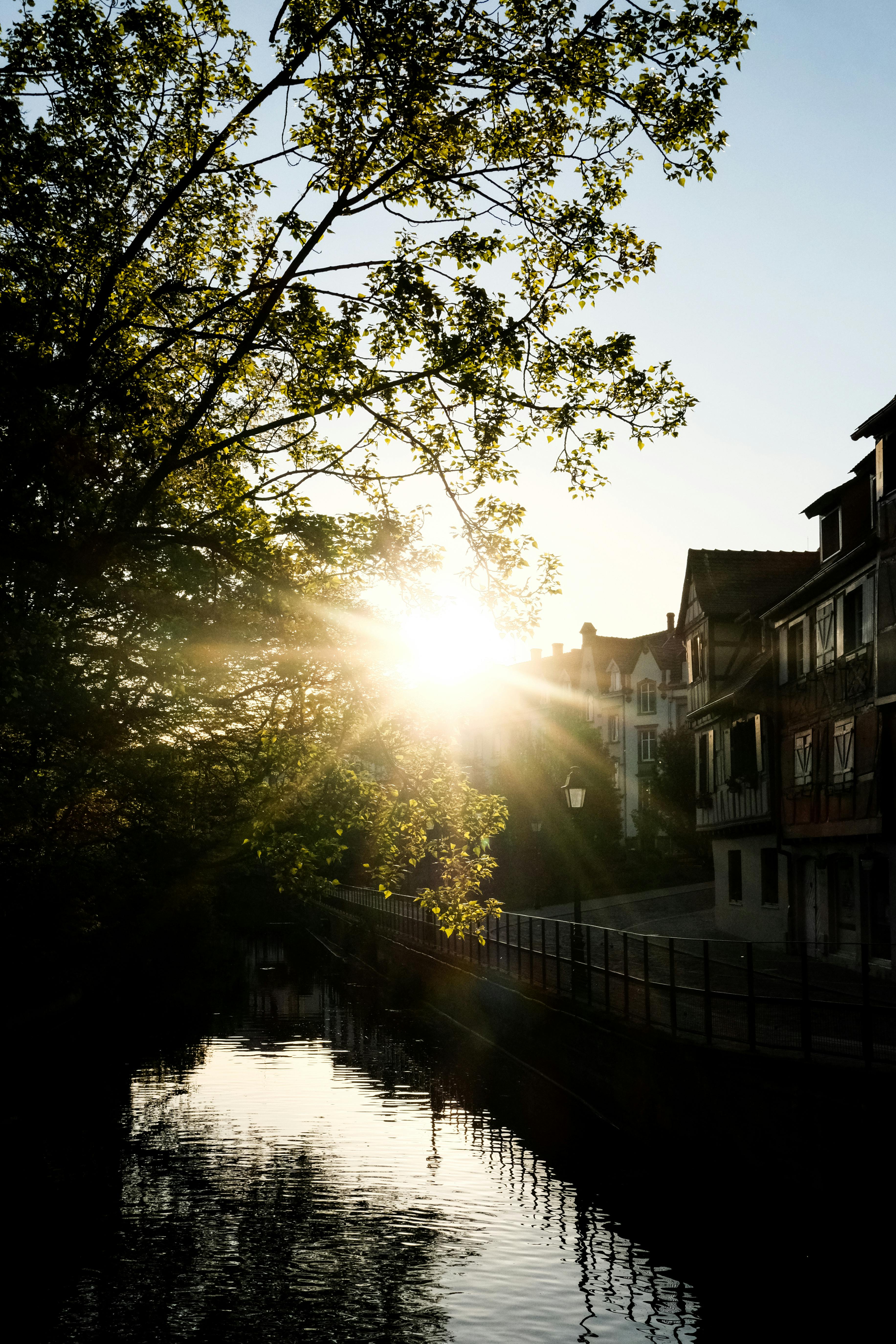 Psychologue Colmar : pourquoi consulter ?