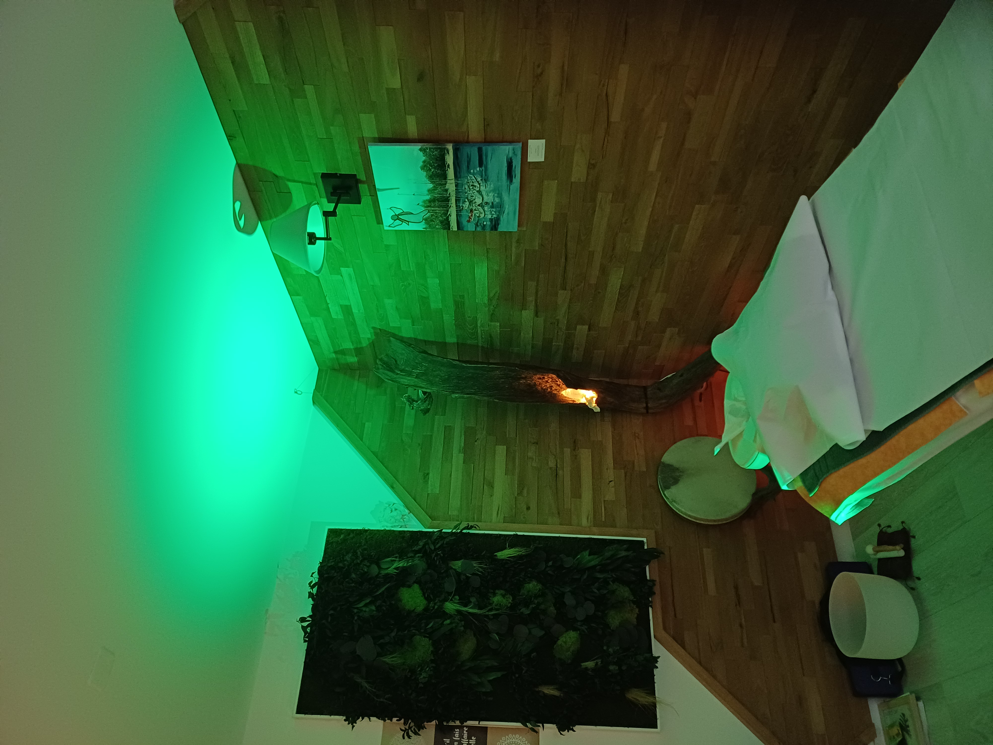 Séance énergétique en magnétisme : 1h ou 1h30 (Oudon, Champtoceaux)