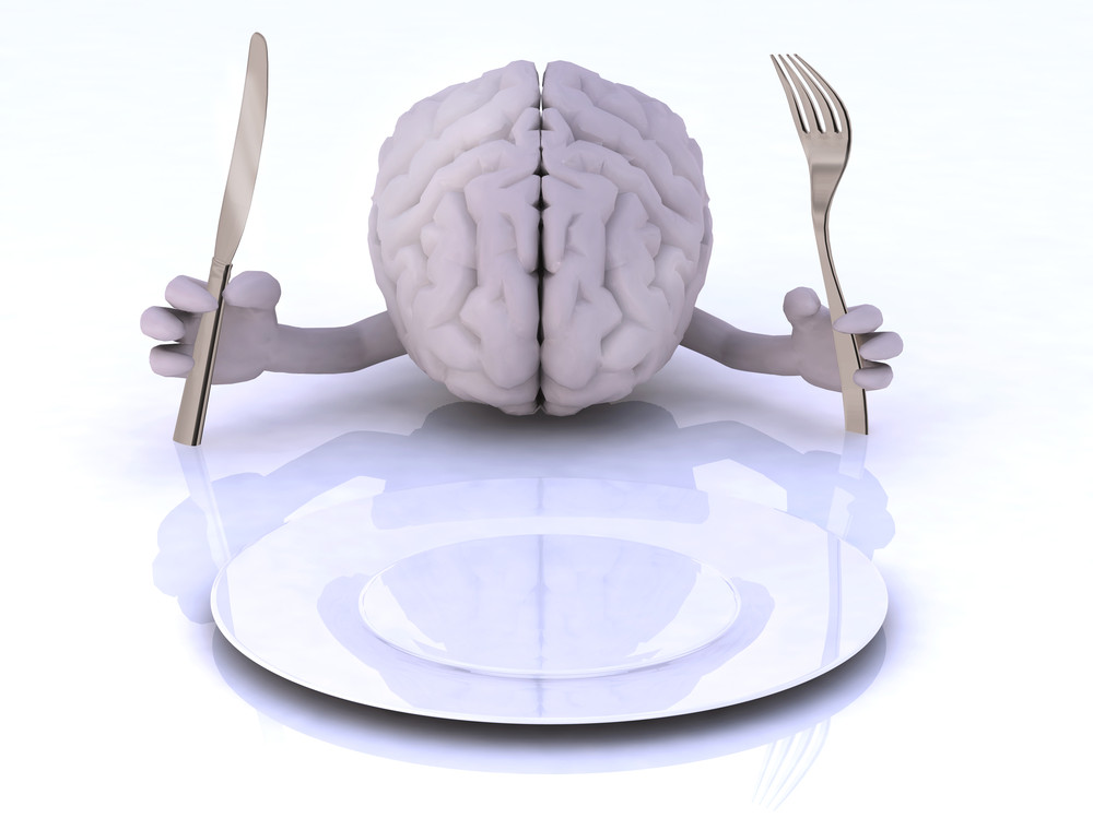 Alimentation et cerveau