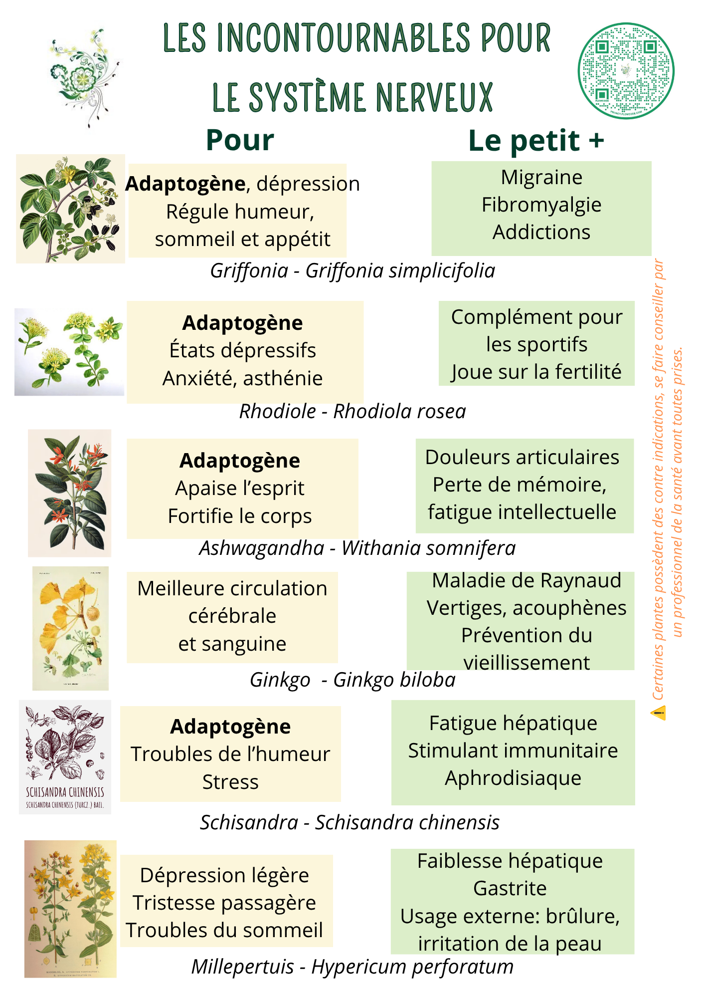 Les incontournables pour le système nerveux