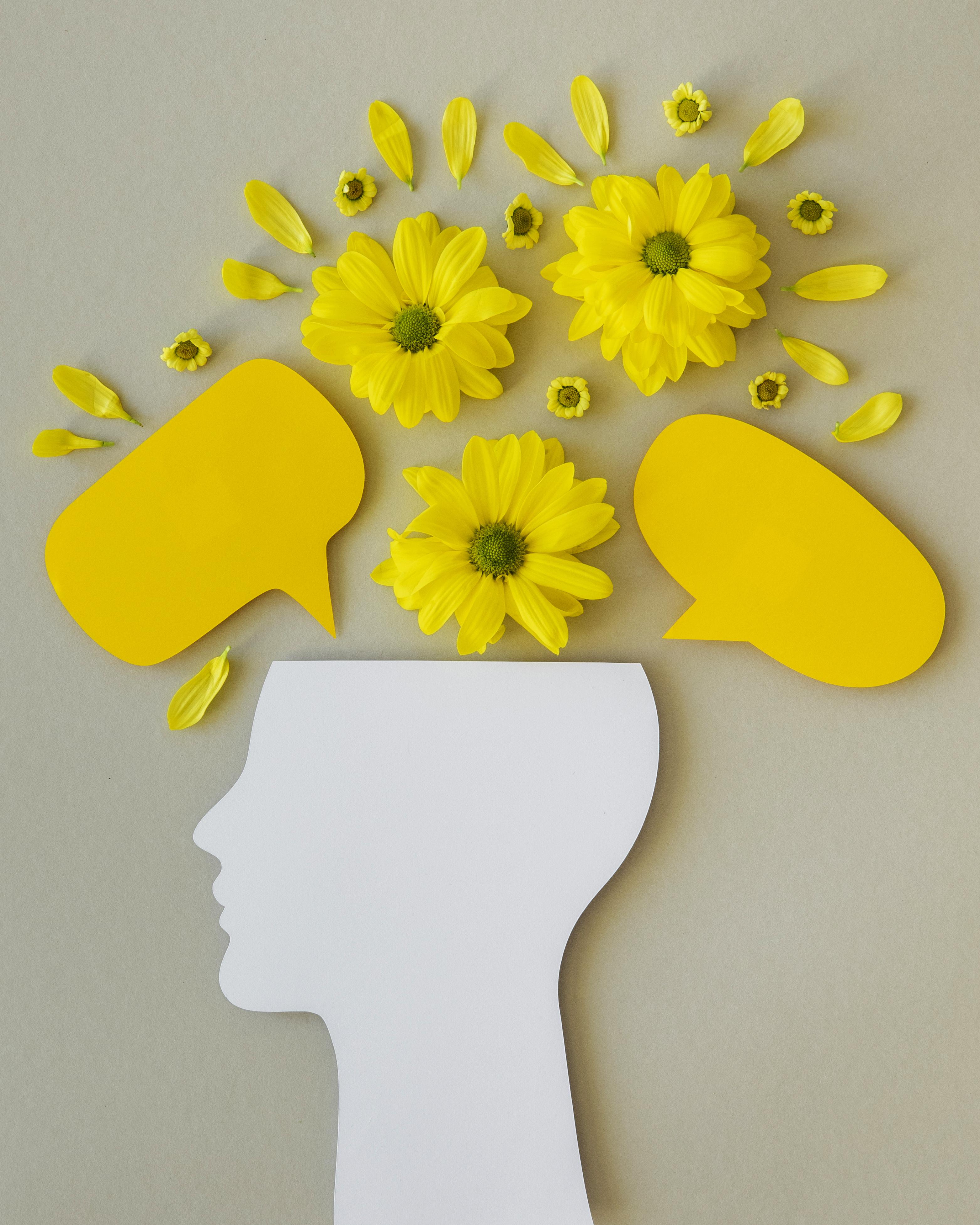 Apprentissage, mémoire et activité cérébrale