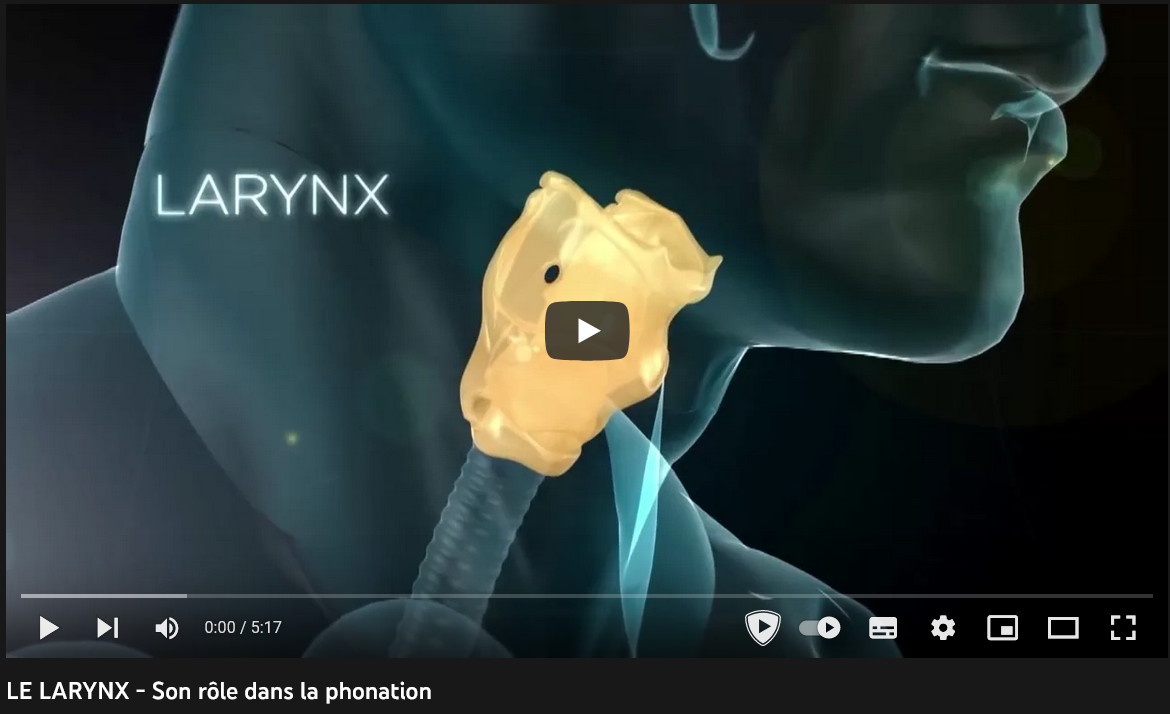 Ressources pour la voix
