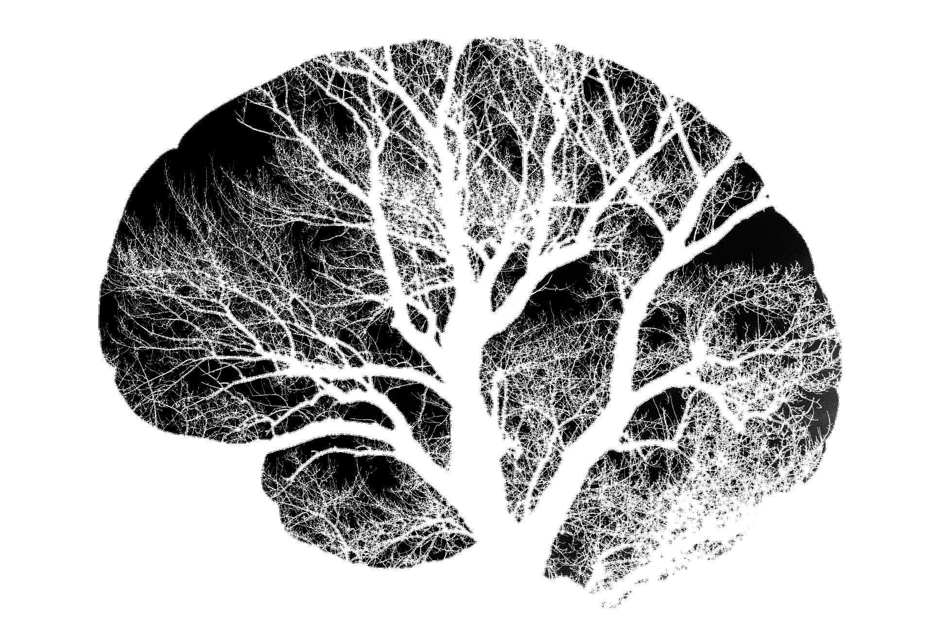 Pourquoi et quand consulter un neuropsychologue ?