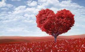 Saint Valentin - s'aimer soi