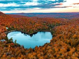 Préparer l'automne avec le REIKI