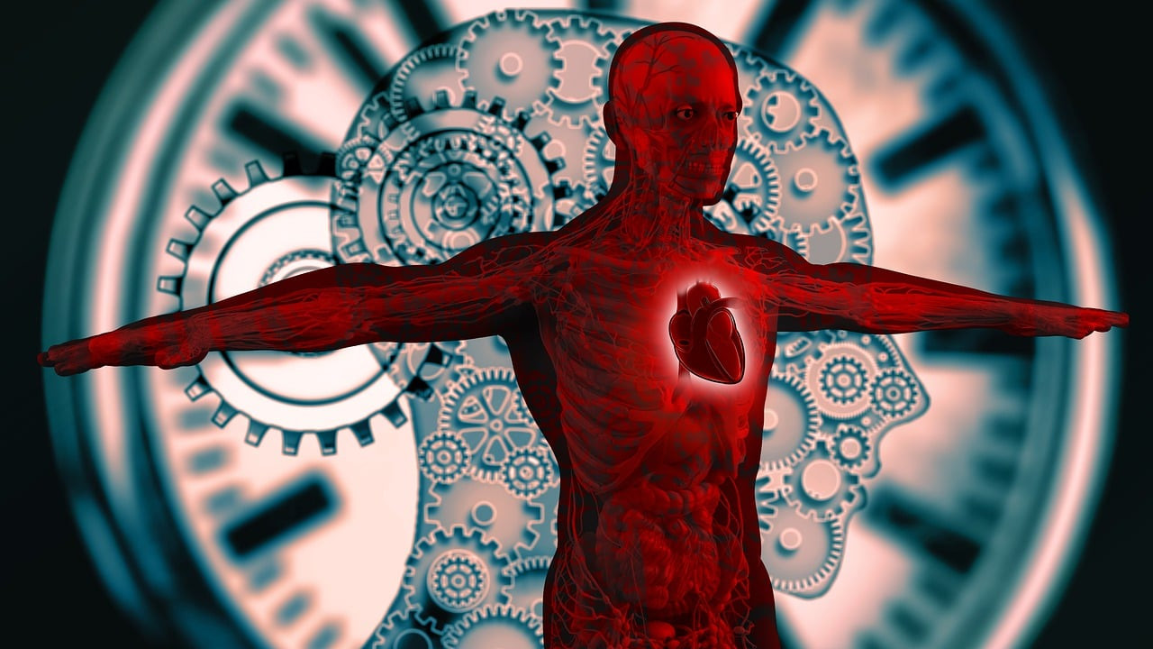 RÉGULATION DU STRESS & DES ÉMOTIONS : Stress chronique, réguler les effets par l'hypnose.