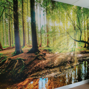 Flora Thomasset