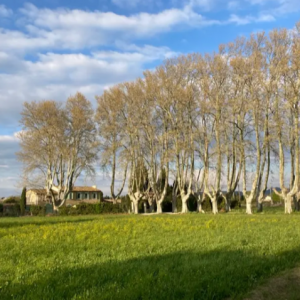Nathalie PREVOT